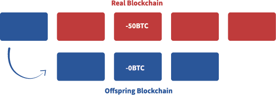 An inforgraphic showing how the off-spring can become the longest chain to follow from all the network and the real one rests abandonned.